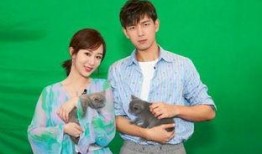 杨紫导演最新爆料,新片幕后故事与创作灵感